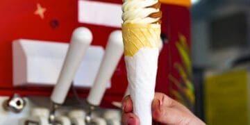 Commercial Soft Ice Cream Machine Review: Tested in My Ice Cream Shop for 6 Months